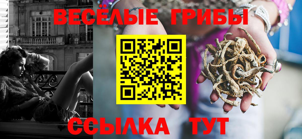 Метадон Павловский Посад